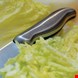  ست چاقو آشپزخانه 6 پارچه برگهف بلژیک Berghoff Messerblock 6-teilig - Essentials