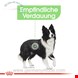  غذا خشک سگ متوسط رویال کنین آلمان Royal Canin Digestive Care Medium 3kg