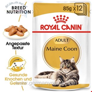 غذا مرطوب گربه رویال کنین Royal Canin Maine Coon 12x85g