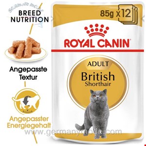 غذا مرطوب گربه رویال کنین Royal Canin British Shorthair 12x85g