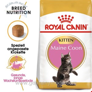 غذا خشک گربه رویال کنین Royal Canin Maine Coon Kitten 4kg