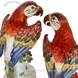  مجسمه دکوری چینی آنتیک قدیمی Pair of Large Meissen Models of Parrots circa 1986 and 1988