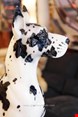  مجسمه نقاشی با دست دکوری چینی Danish Dog Sculpture