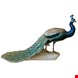 مجسمه نقاشی با دست دکوری چینی طاووس آنتیک قدیمی Exquisite Dresdner Porzellan Pfauenschwanzschleife geschlossen blickend nach vorne Figur Deutschland