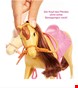  مجموعه باربی و نظافت اسب Mattel Barbie Reitspaß mit Barbie (blond), Chelsea, Pferd und Pony, Pferde Spielzeug