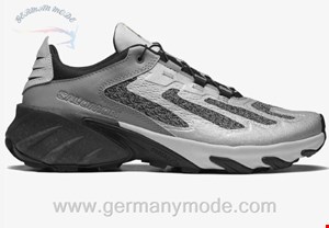 کتانی اسپرت مردانه زنانه سالامون فرانسه SALOMON SPEEDVERSE PRG Sportliche Schuhe Unisex  Silver. / Frost Gray / Lunar Rock