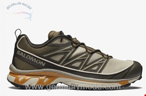 کتانی اسپرت مردانه زنانه سالامون فرانسه SALOMON XT-6 EXPANSE Sportliche Schuhe Unisex Feather Gray / Delicioso / Golden Oak