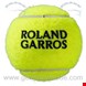  توپ تنیس 4 عددی ویلسون آمریکا WILSON ROLAND GARROS ALL COURT 4 STÜCK