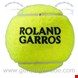  توپ تنیس 3 عددی ویلسون آمریکا WILSON ROLAND GARROS ALL COURT 3 STÜCK