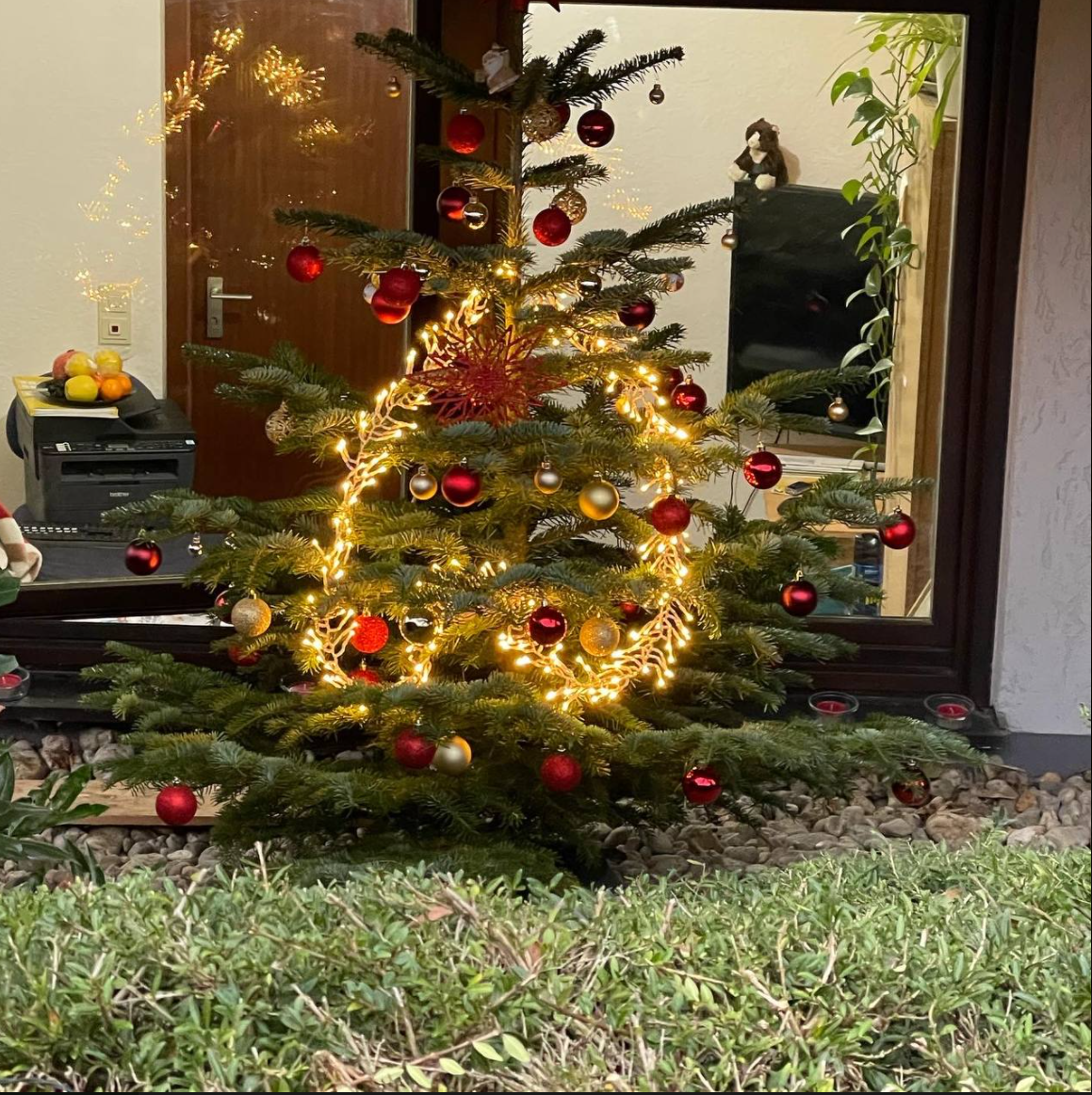  تزئین درخت کریسمس فروشگاه اینترنتی جرمنی مد 2022